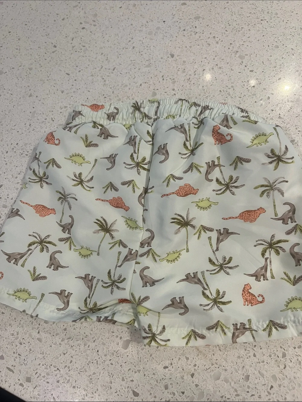 H&M Light Mint Swim Trunks with Dino & Palm Print